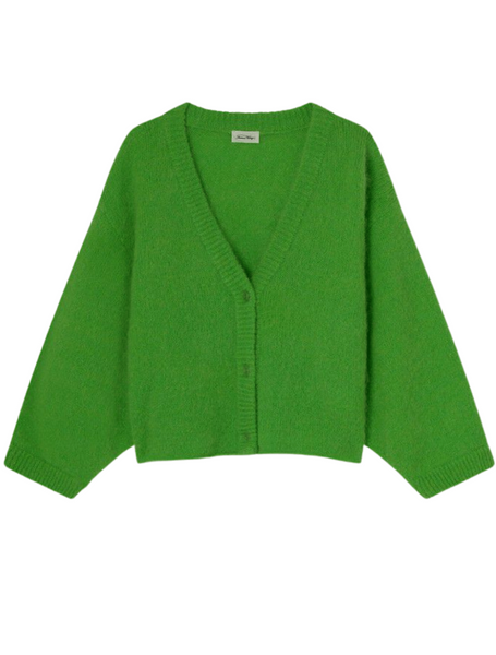 American Vintage Pinobery Boxy Cardigan in Frog Order Of Style